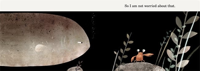 Harper Entertainment Distribution Services Childrens This Is Not My Hat By Jon Klassen