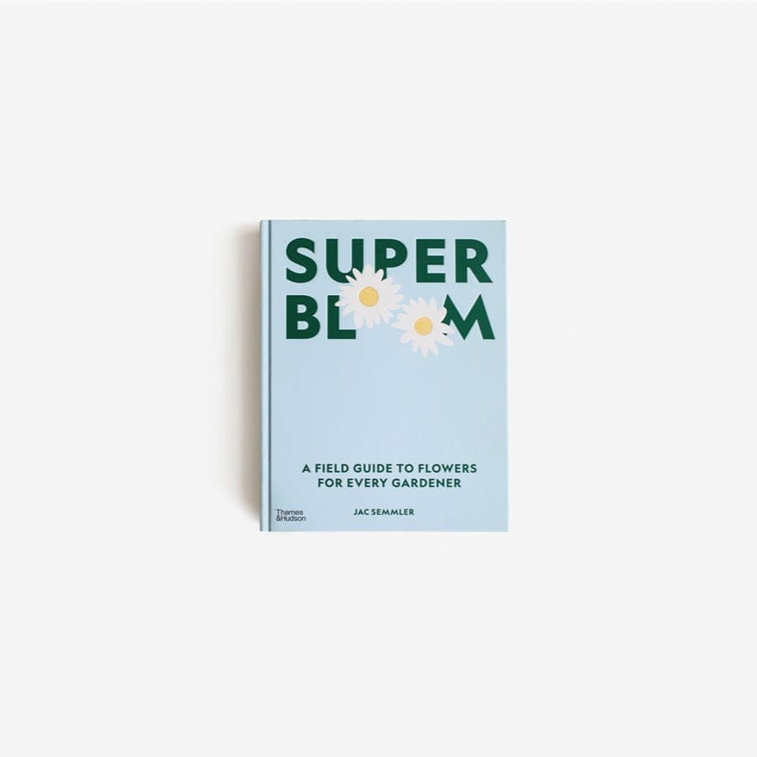 Harper Entertainment Distribution Services Books Super Bloom by Jac Semmler