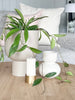 L&M Home Pots L&M Home Mona Curve Planter - Latte (6661681447100)