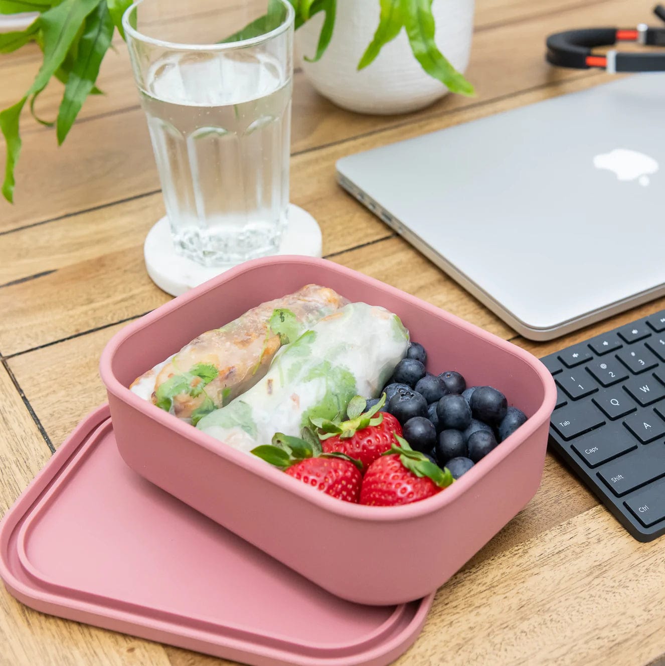 Silicone Bento Box