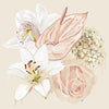 Adele Naidoo Prints Adele Naidoo Limited Edition Fine Art Canvas Print - Flora, Rose (7808054919417)