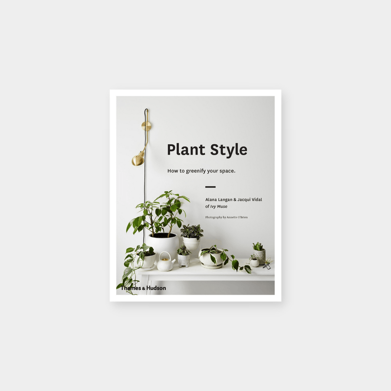 Harper Entertainment Distribution Services Plants Plant Style (766762451035)