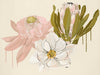 Adele Naidoo Prints Adele Naidoo Limited Edition Fine Art Canvas Print - Wildflower (7032307613884)