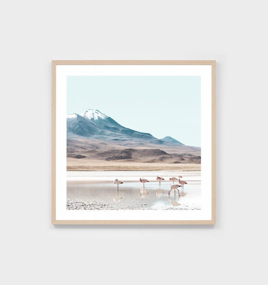 Middle of Nowhere Prints Middle of Nowhere Bolivia Print