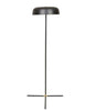 Globe West Lamps Easton Canopy Floor Lamp, Black (7711008719097)