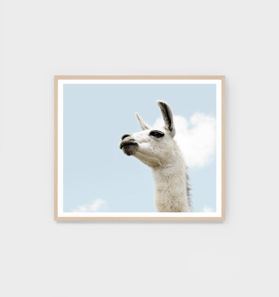 Middle of Nowhere Prints Middle of Nowhere Llama Sky Print