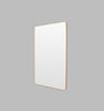 Middle of Nowhere Mirrors Middle of Nowhere Flynn Curve Leaner Mirror - Brass