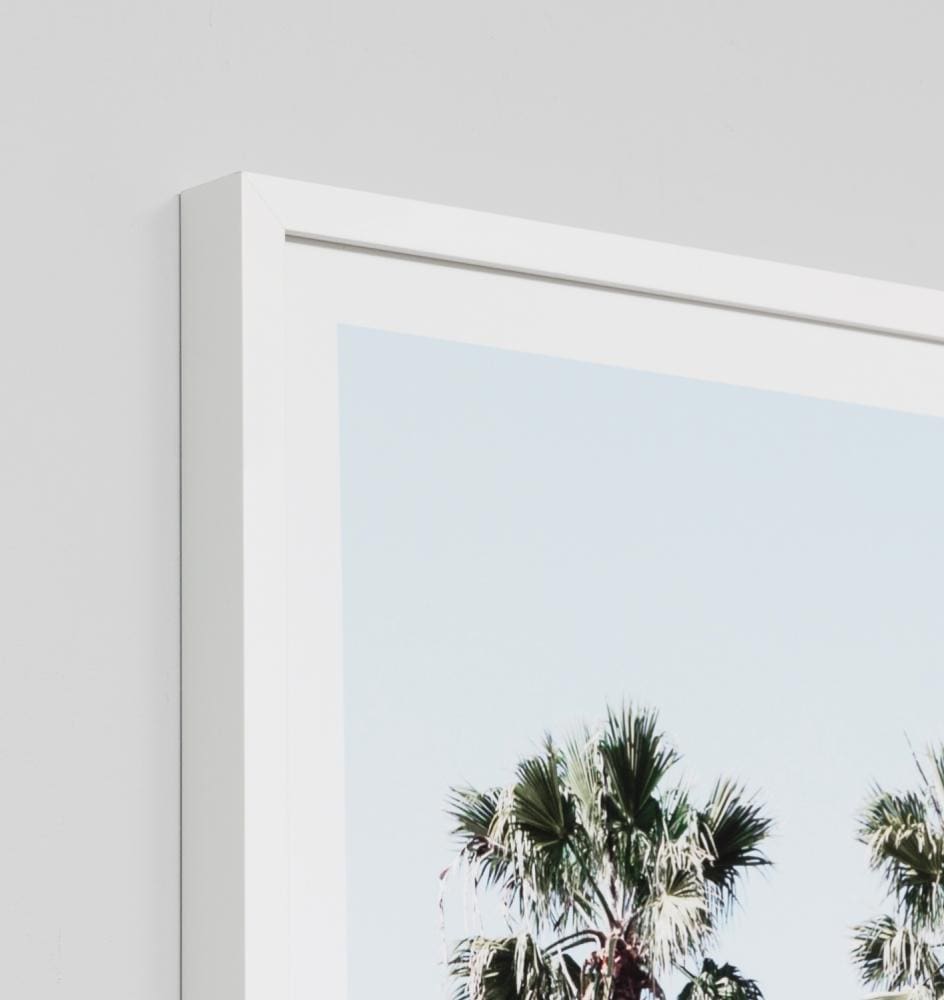 Middle of Nowhere Prints Middle of Nowhere Los Angeles Palms Print