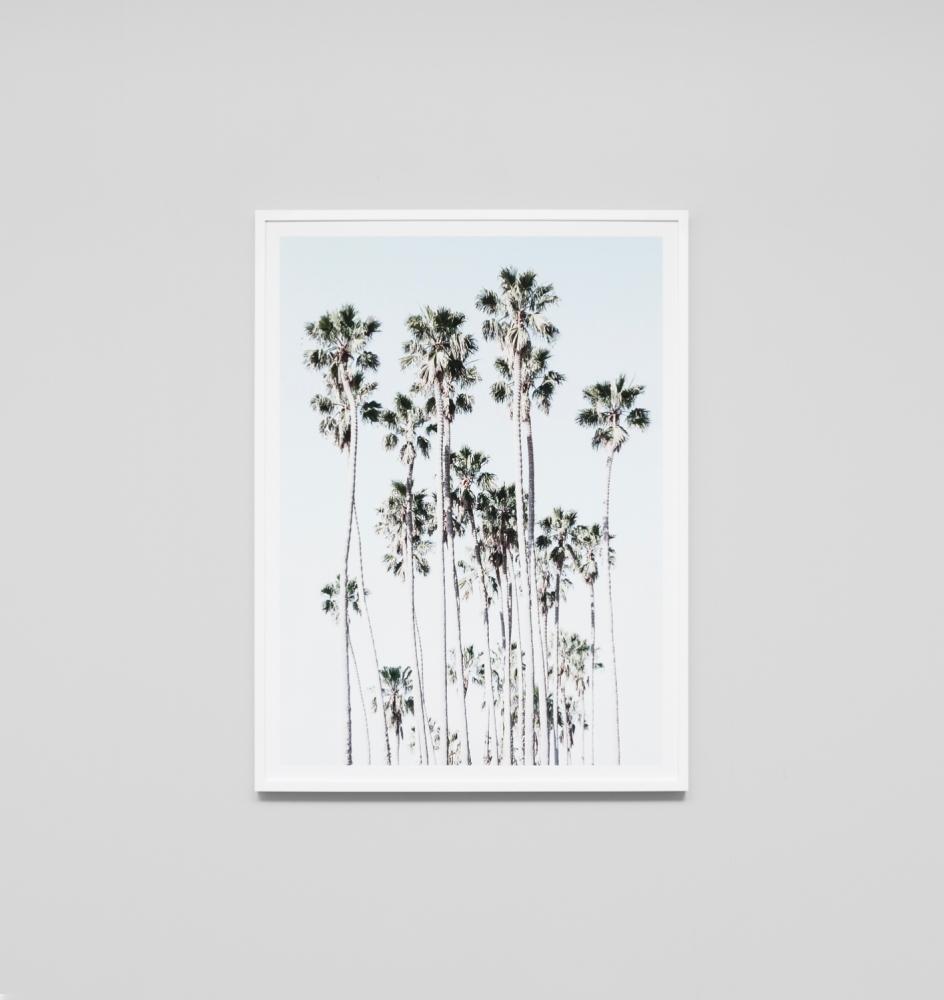 Middle of Nowhere Prints Middle of Nowhere Los Angeles Palms Print
