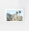 Middle of Nowhere Prints Middle of Nowhere Palm Hills Print