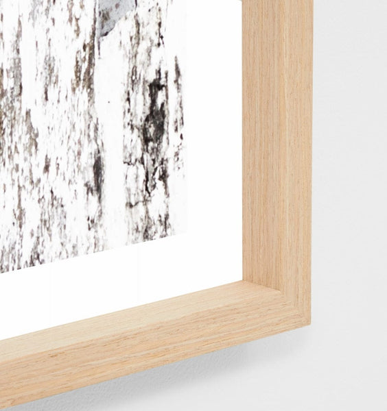 Middle of Nowhere Palm Window Print – Norsu Interiors