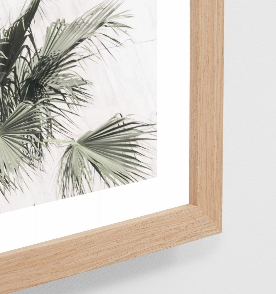 Middle of Nowhere Prints Rooftop Palms Framed Print (4588961235028)